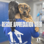 National Rescue Appreciation Week