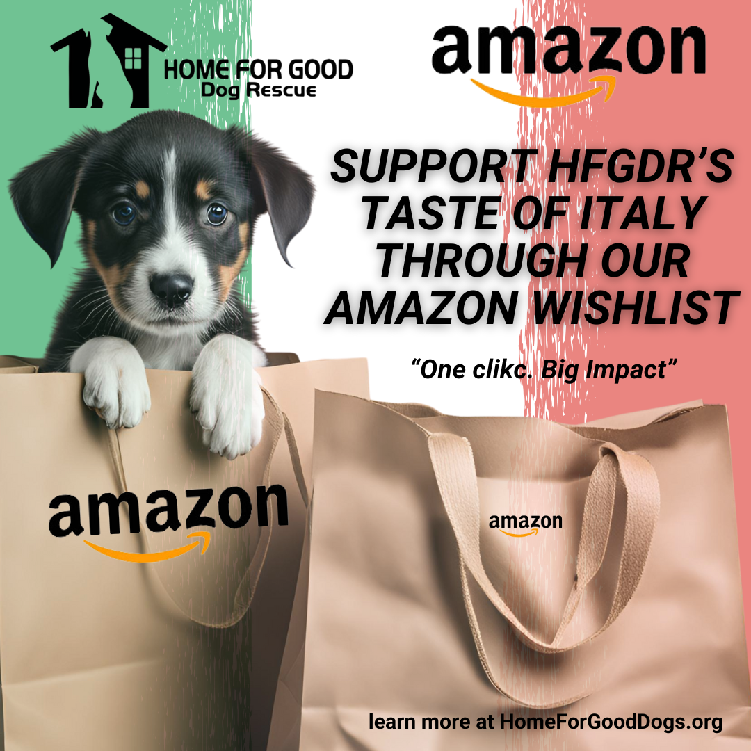 Taste of Italy Amazon Wishlist