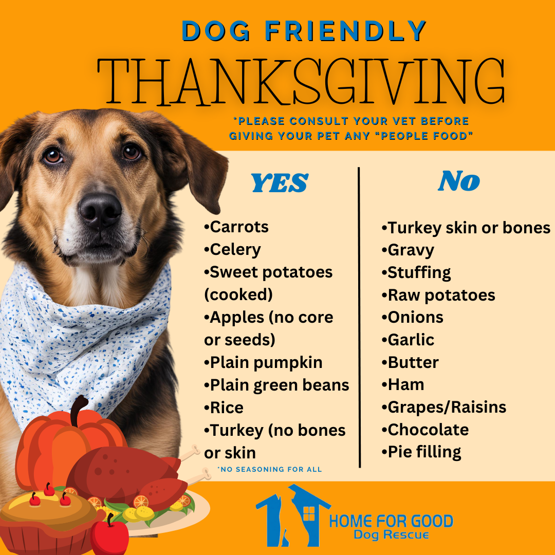 Dog-Friendly Thanksgiving Tips: What You Can Safely Share With Your Pup