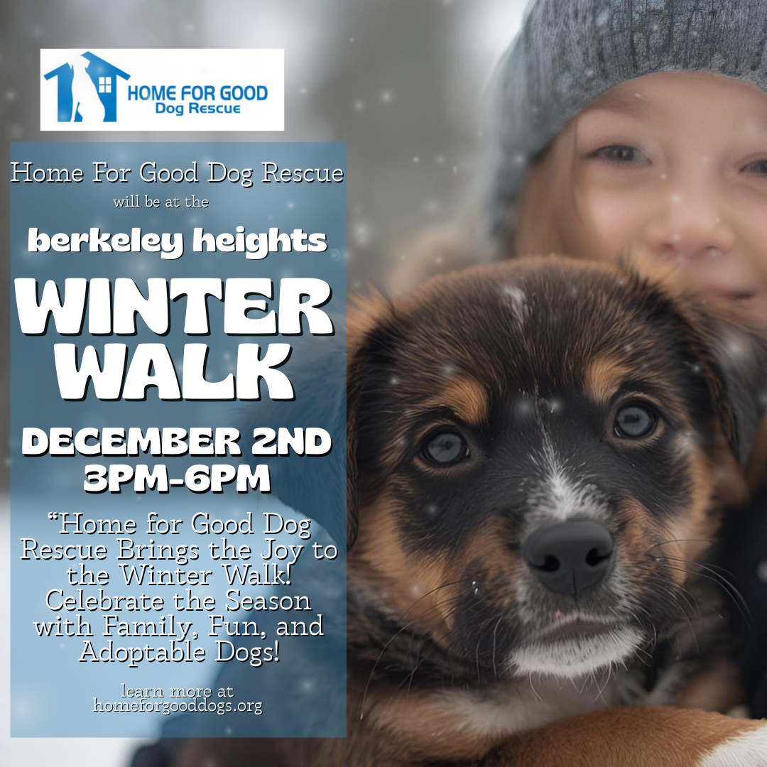 Berkeley Heights Winter Walk 2025 with Home For Good Dog Rescue