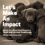 Home for Good Dog Rescue’s Year-End Giving Fund: Where Hope Lives