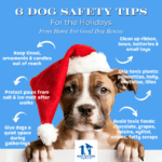 Winter Holiday Dog Safety Tips