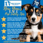 New Years Eve Tips to Keep Your Pup Safe