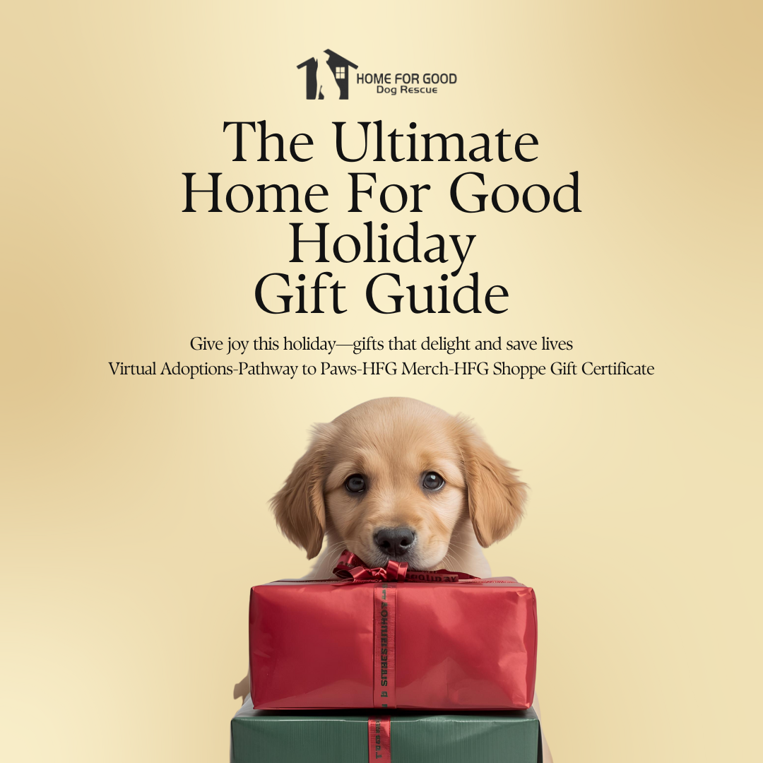 HFG 2025 Holiday Gift Guide – Must-Have Gifts for Dog Lovers