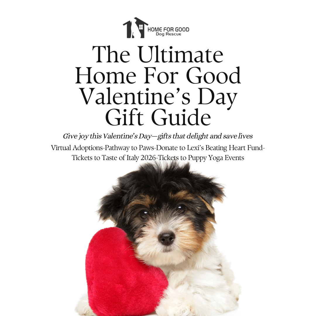 Valentine’s Day Gift Guide: Gifts That Give Back ❤️