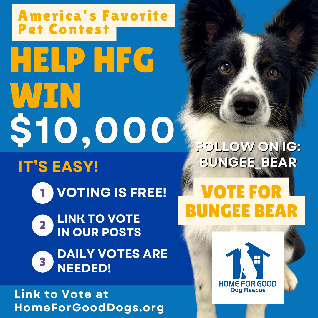 Home for Good Dog Rescue Could Win $10000