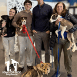 Eli Manning Surprise Visit Creates a Giant Moment at Puppy Yoga