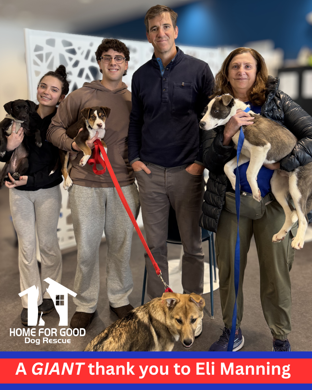 Eli Manning Surprise Visit Creates a Giant Moment at Puppy Yoga