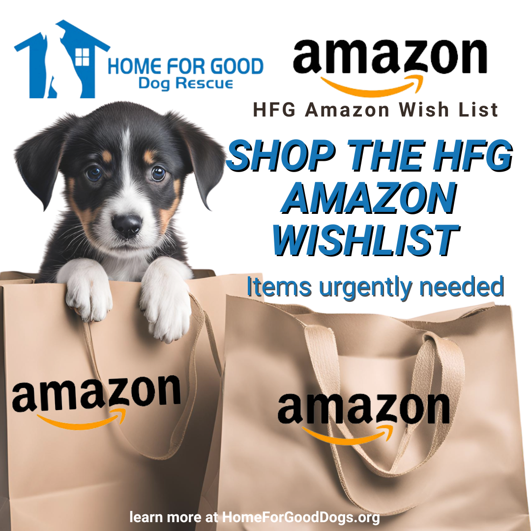SHOP OUR HFG AMAZON WISH LIST