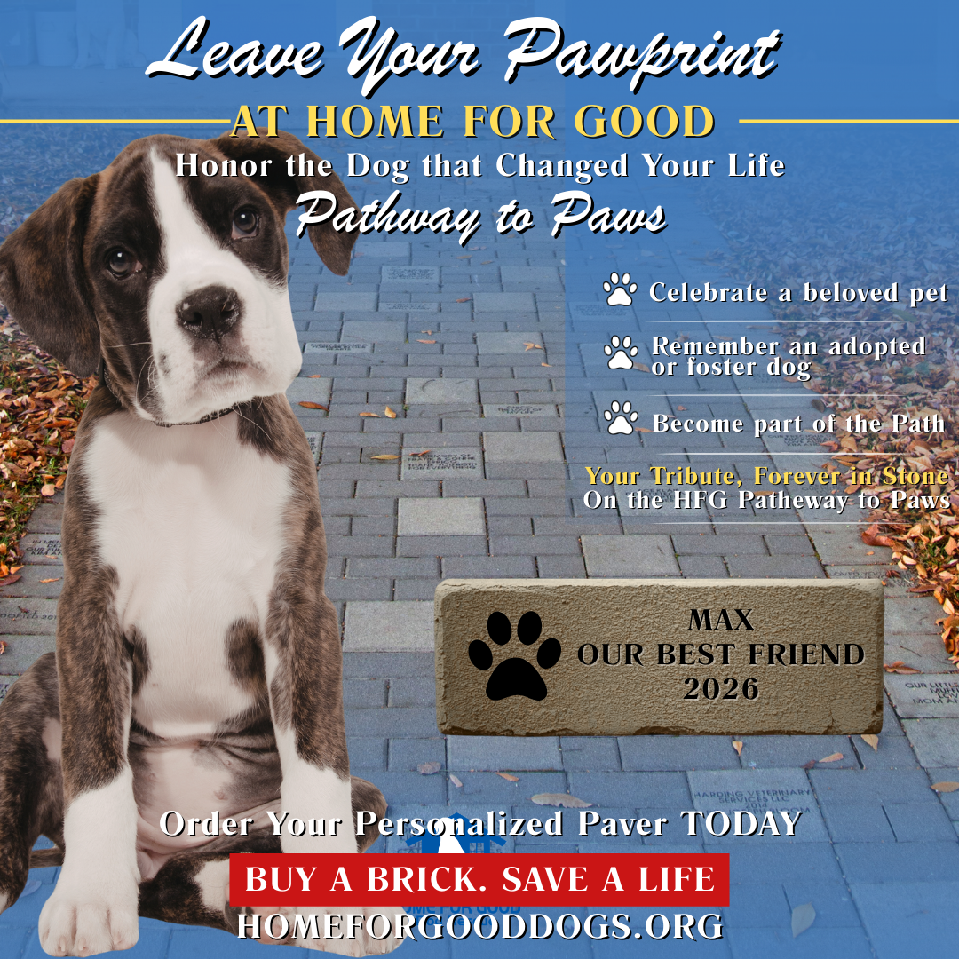 PATHWAY TO PAWS PAVERS | Leave Your Pawprint at Home for Good