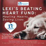 Lexi’s Beating Heart Fund